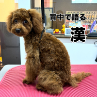画像2243