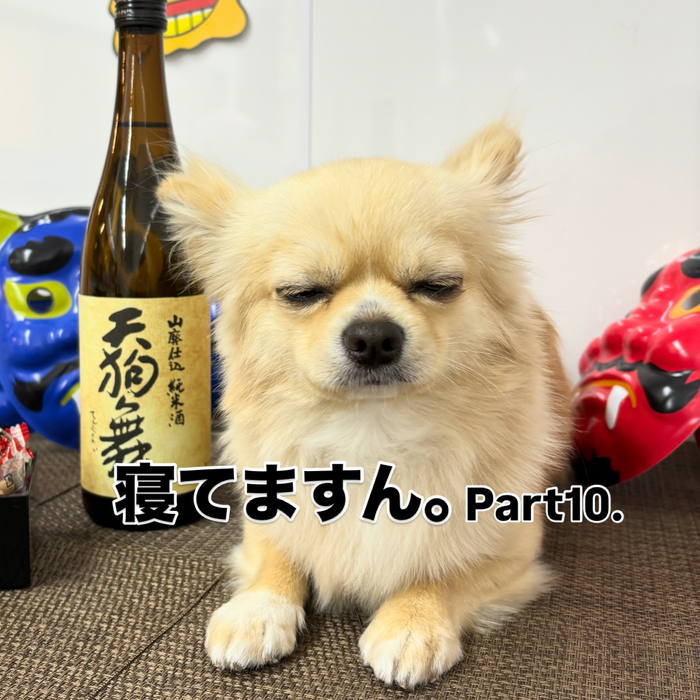 画像2249