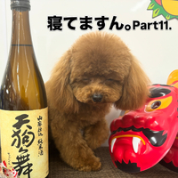 画像2256