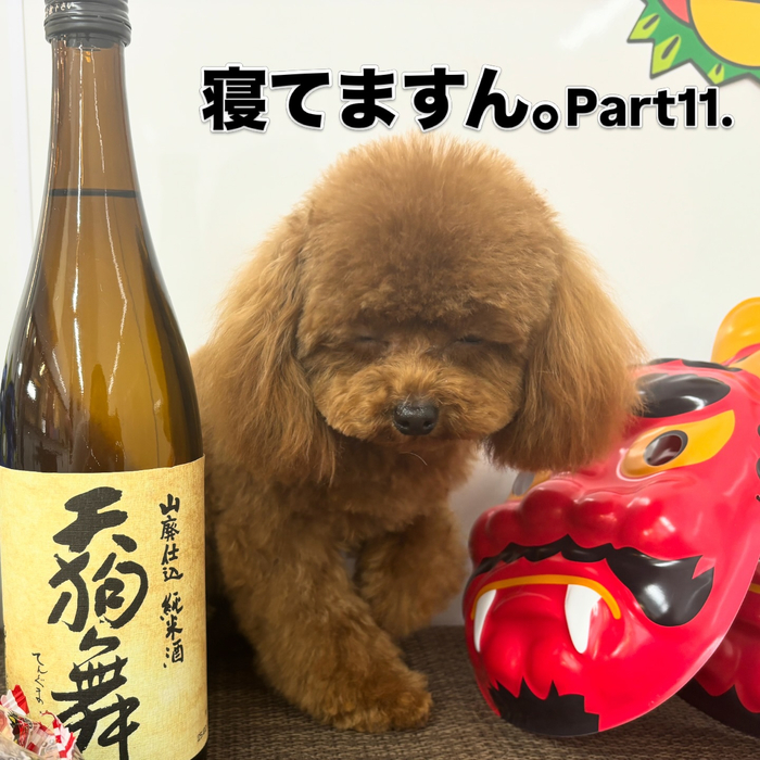 画像2256
