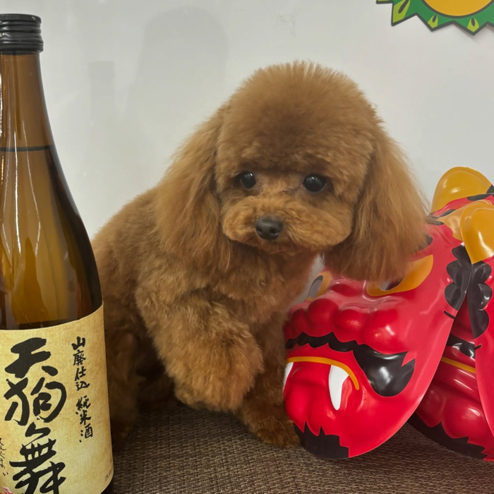 画像2260
