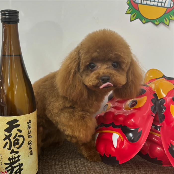 画像2261