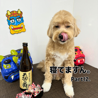 画像2265