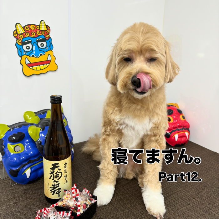 画像2265