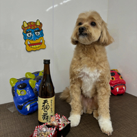 画像2268