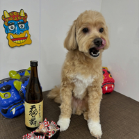 画像2269