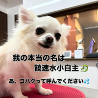 画像2272