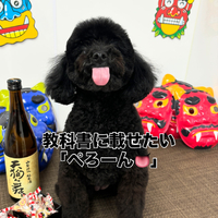 画像2284