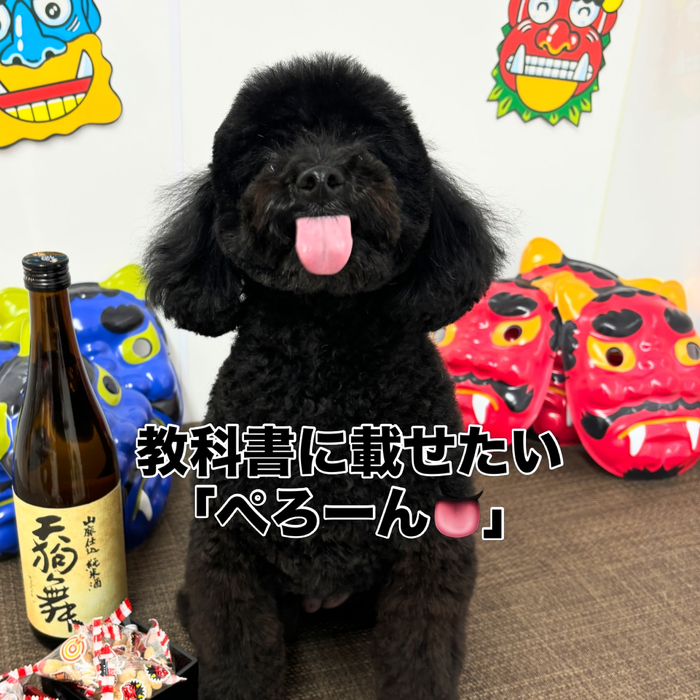 画像2284