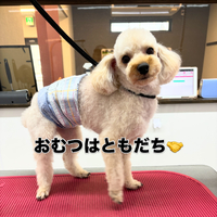画像2292