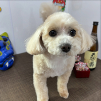 画像2310