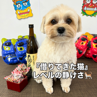 画像2312