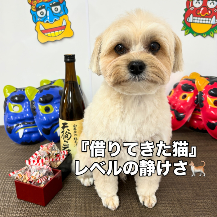 画像2312