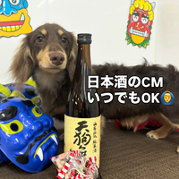 画像2327