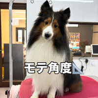 画像2333