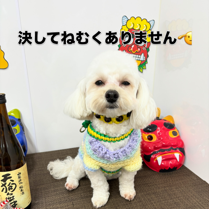 画像2337