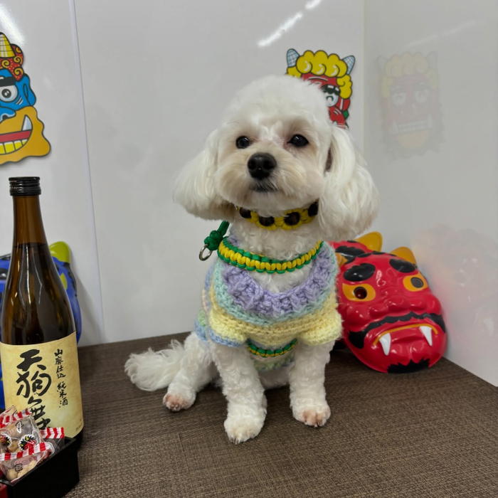 画像2338