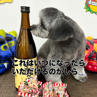 画像2343