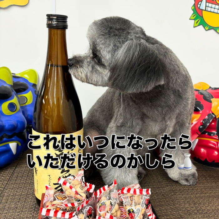 画像2343