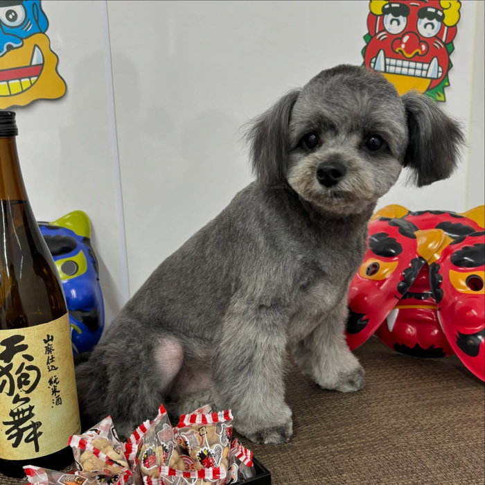 画像2345