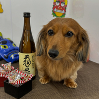 画像2355