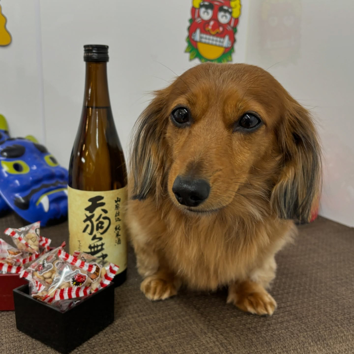 画像2355