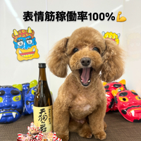 画像2357