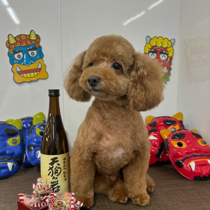画像2360