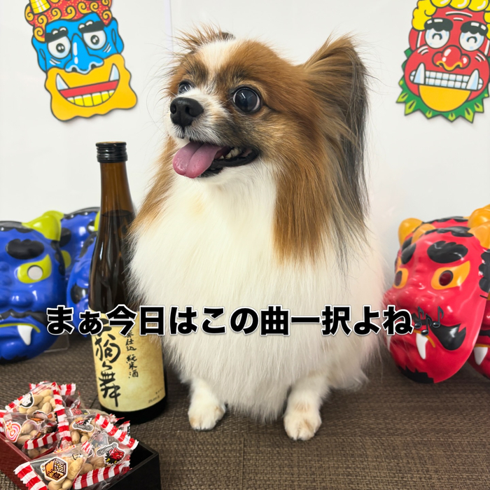 画像2370