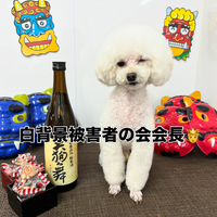画像2377