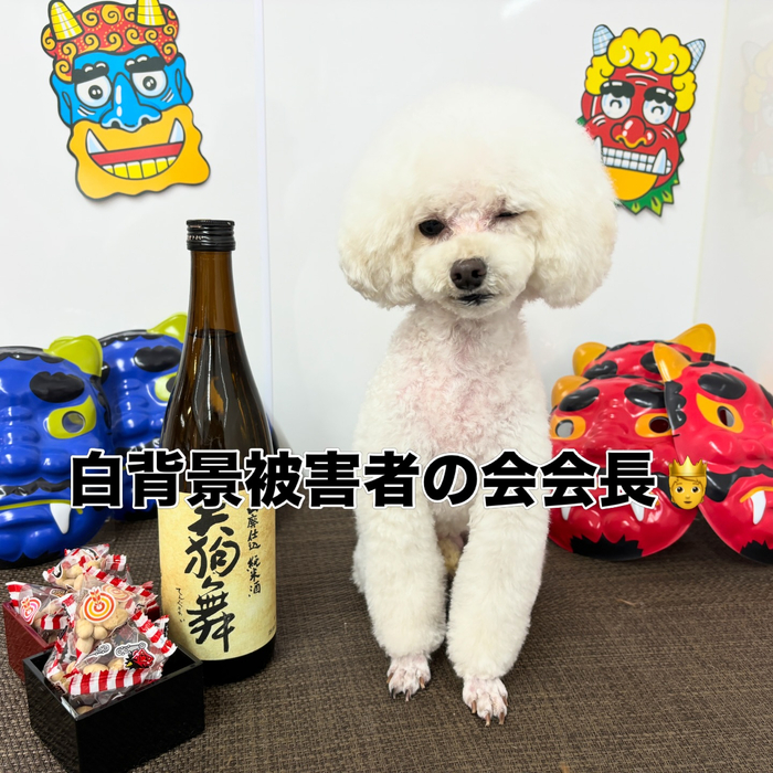 画像2377