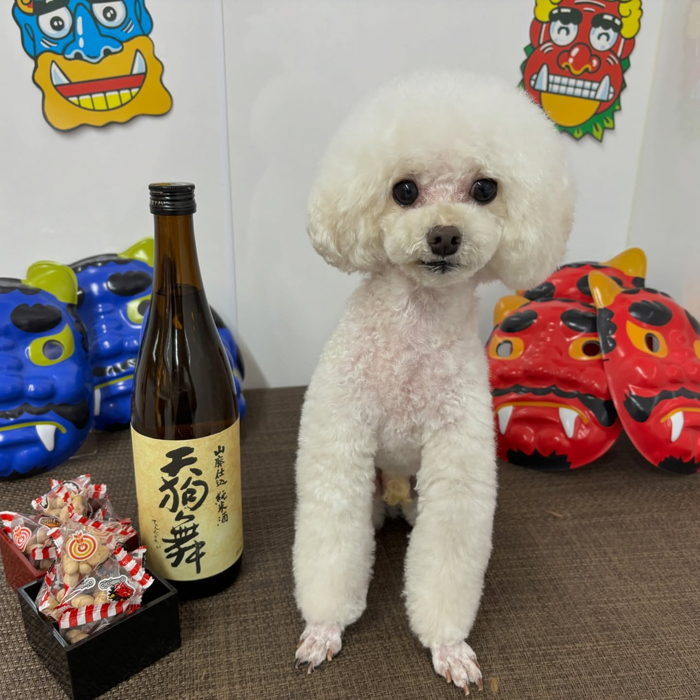 画像2378