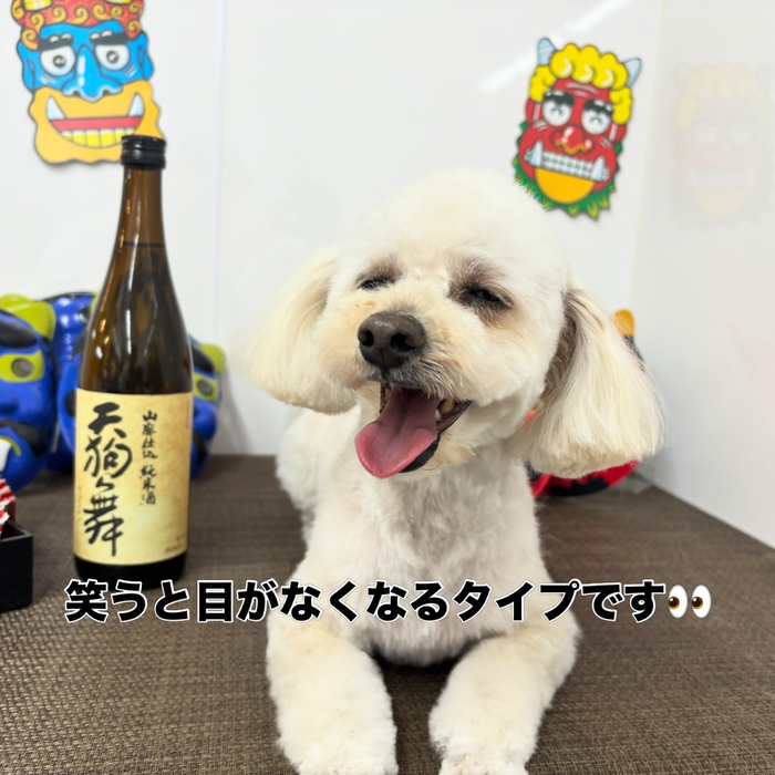 画像2382