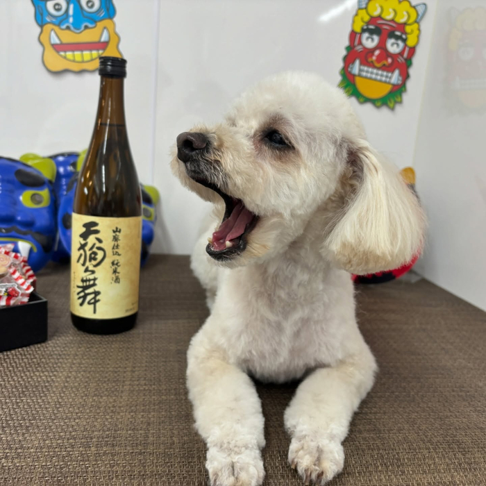 画像2386