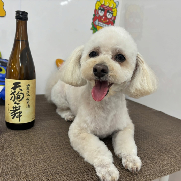 画像2387