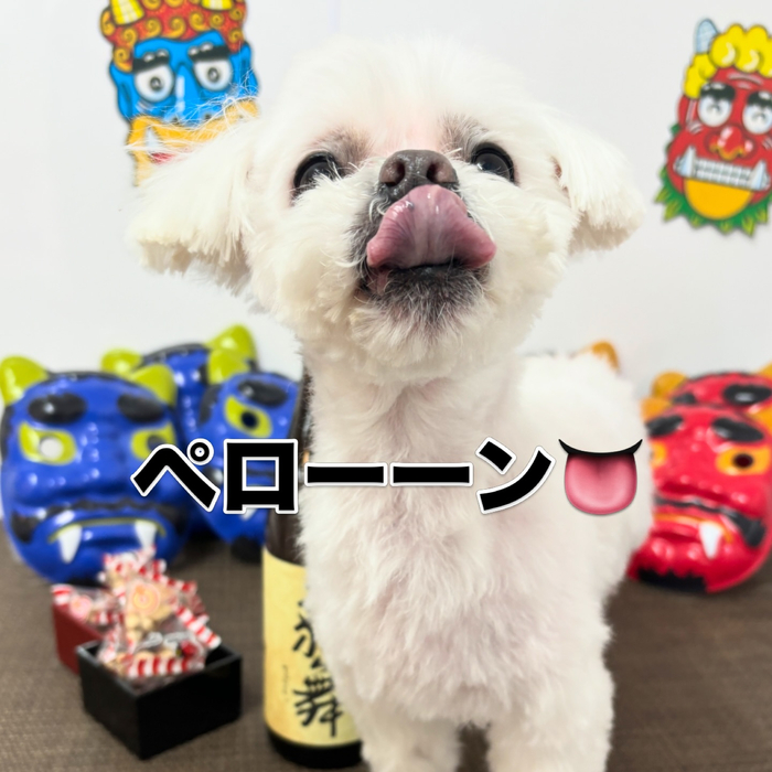 画像2390