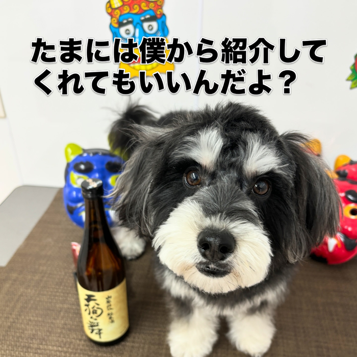 画像2399