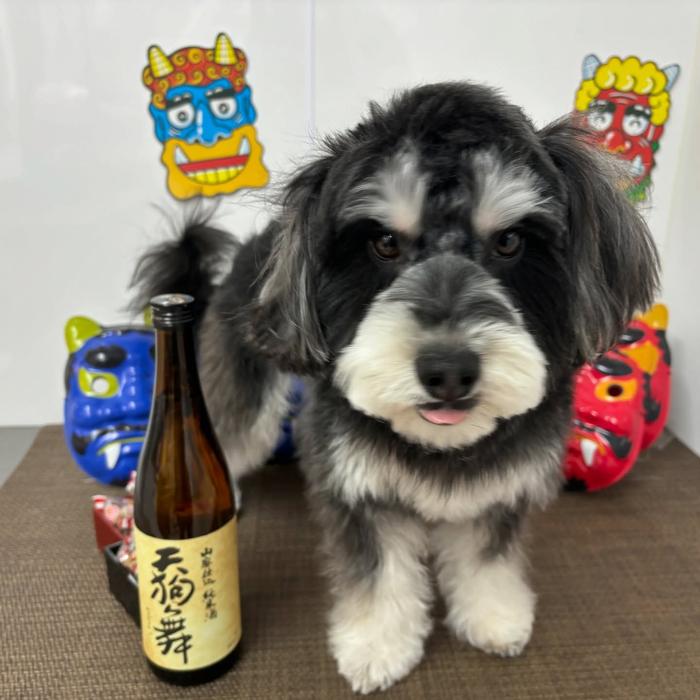 画像2400
