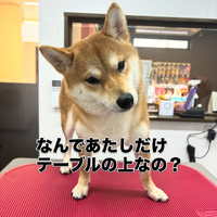 画像2407