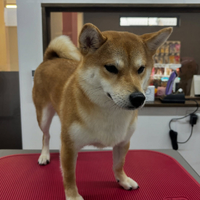 画像2409