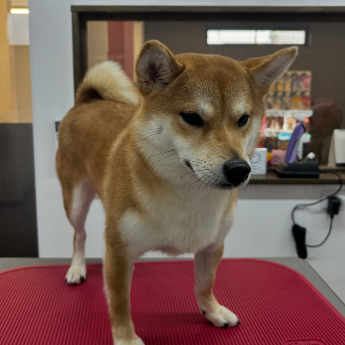 画像2409