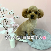 画像2424