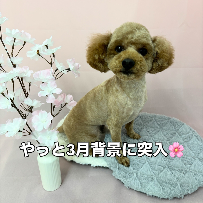 画像2424