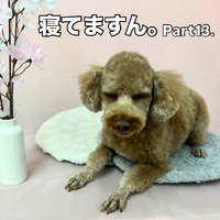 画像2430