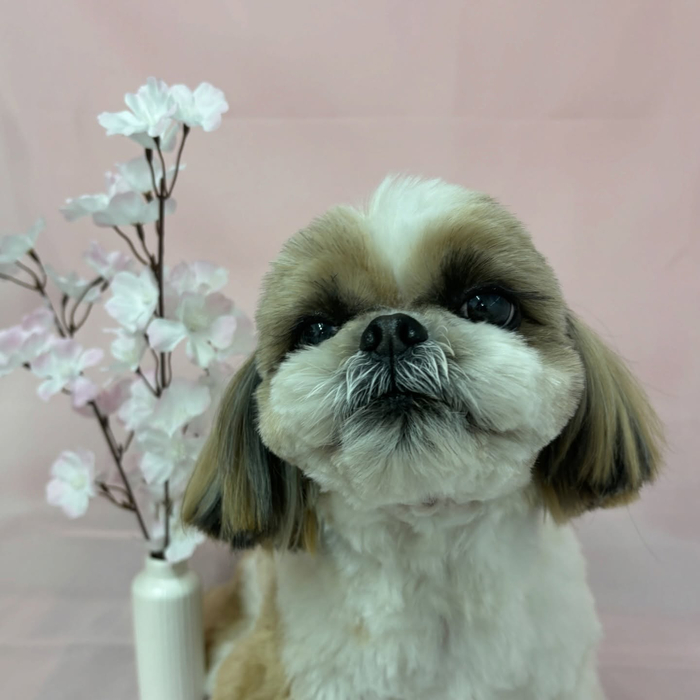 画像2443