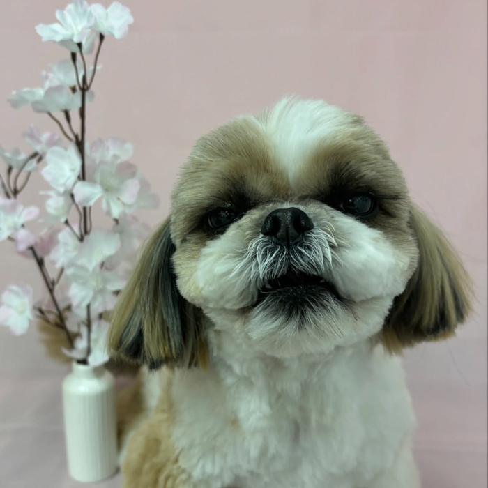 画像2444