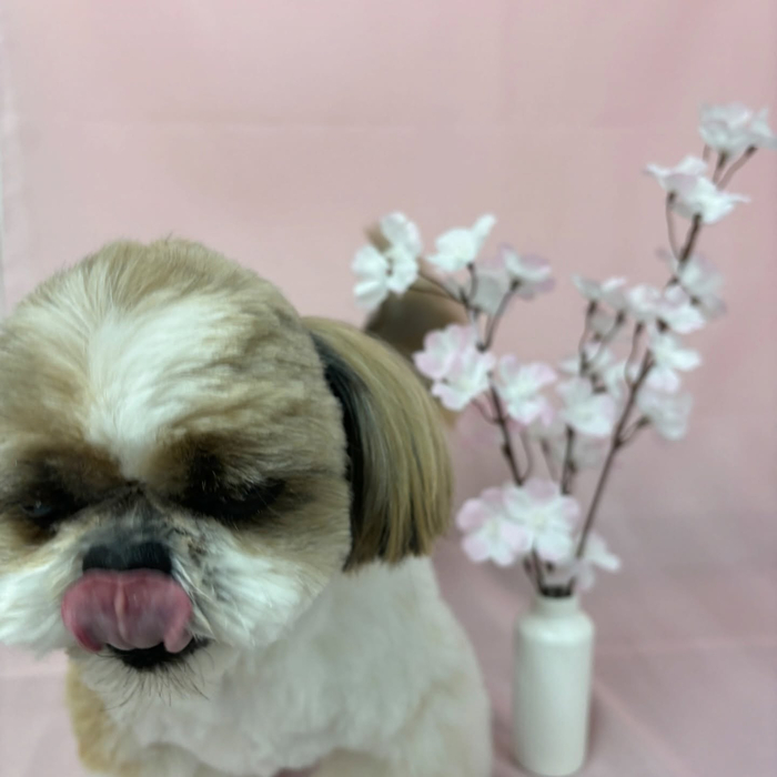 画像2446