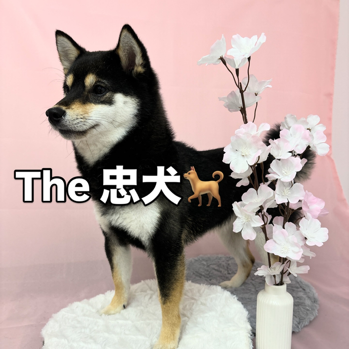 画像2457