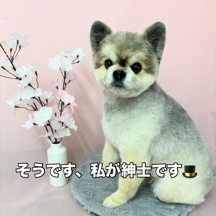 画像2465