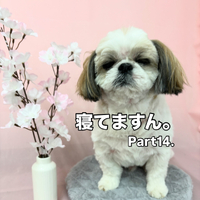 画像2471